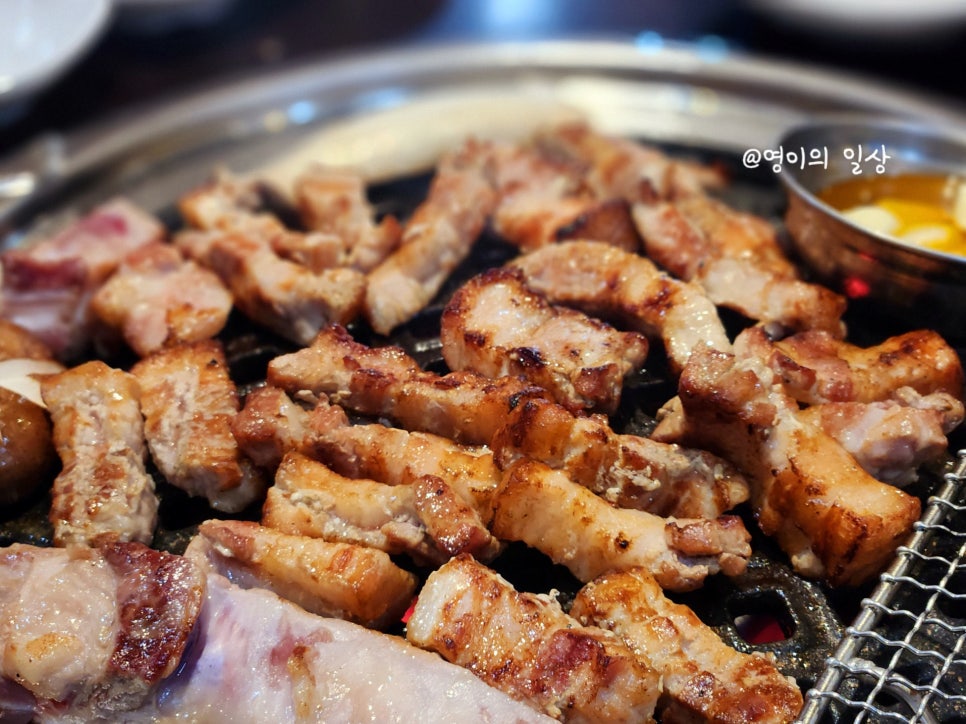 돼지청 이미지