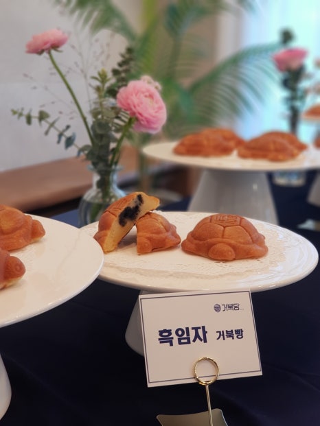 거북당 이미지