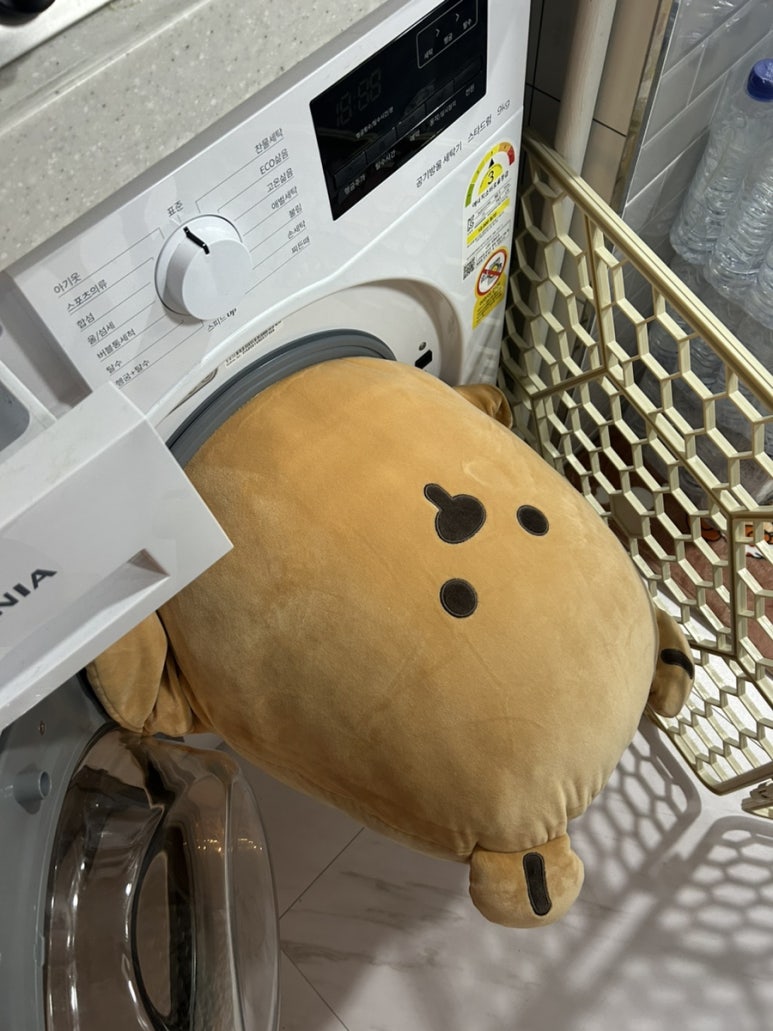 은비세탁 이미지