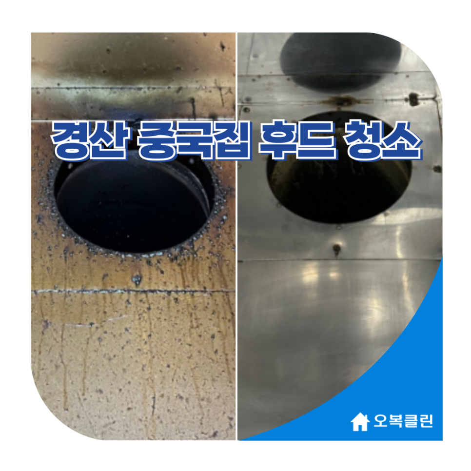오복클린 이미지