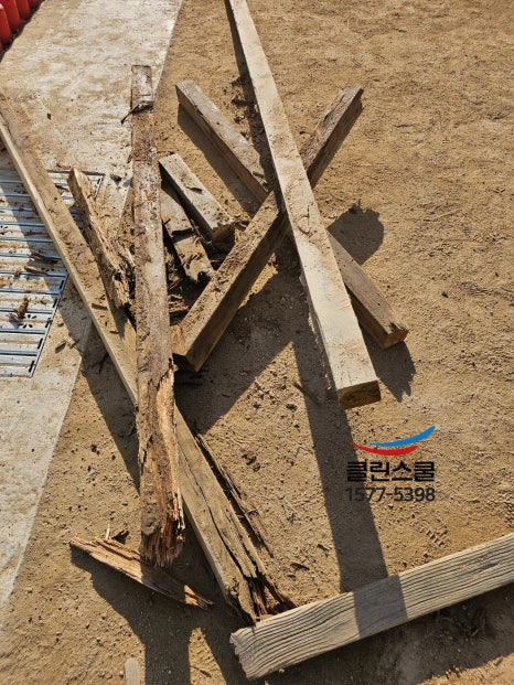 스쿨라인 이미지