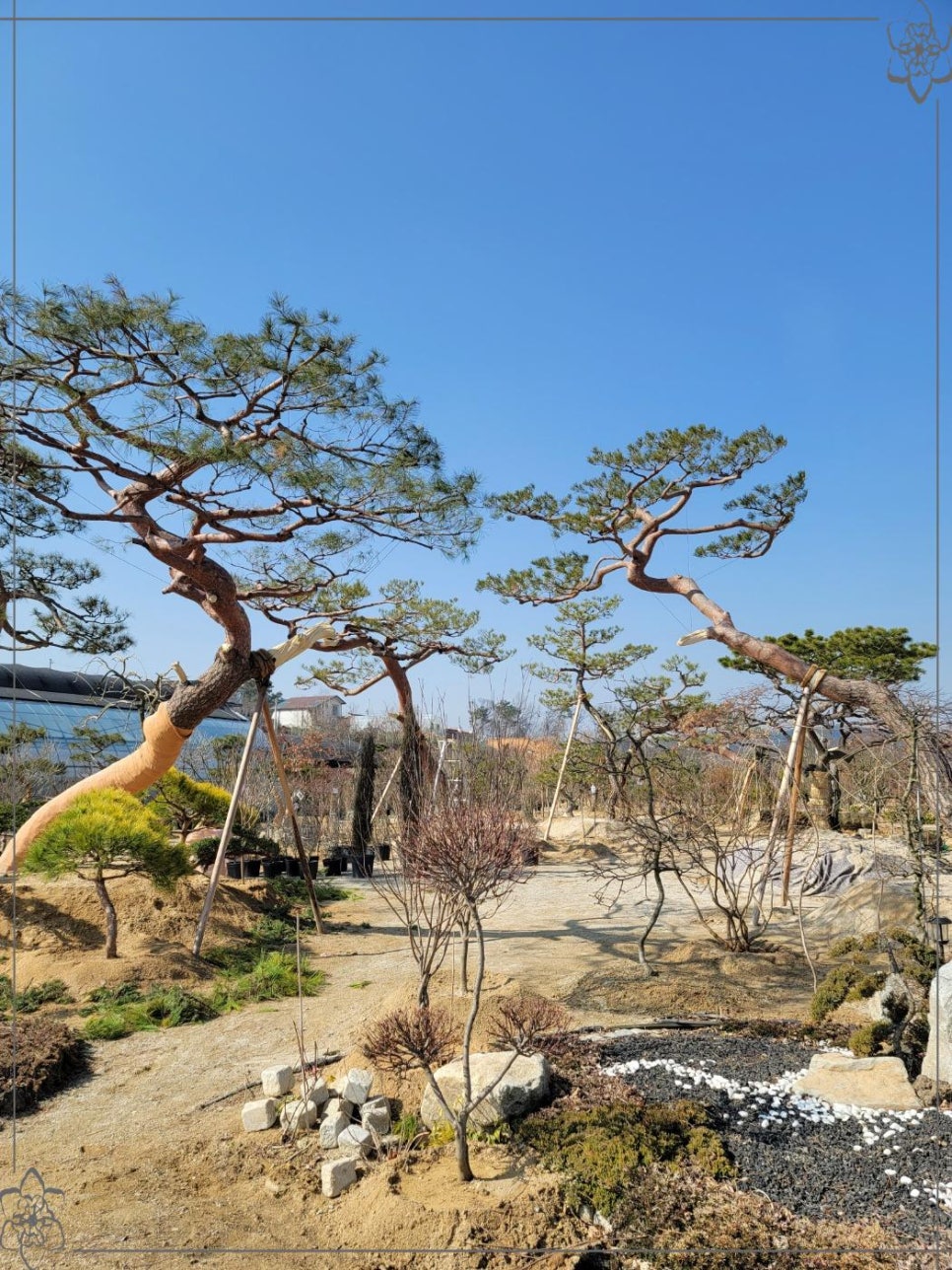 세종조경농원 이미지