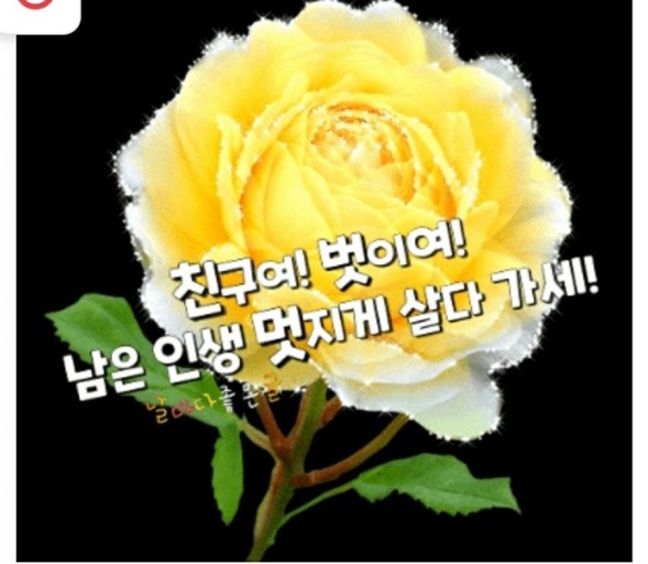우정상 이미지