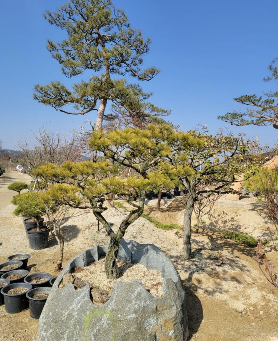 여주이천양평조경 이미지
