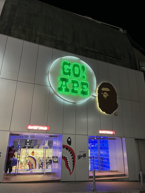 당고베이프 이미지