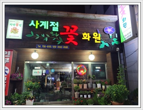 스타꽃화원 이미지