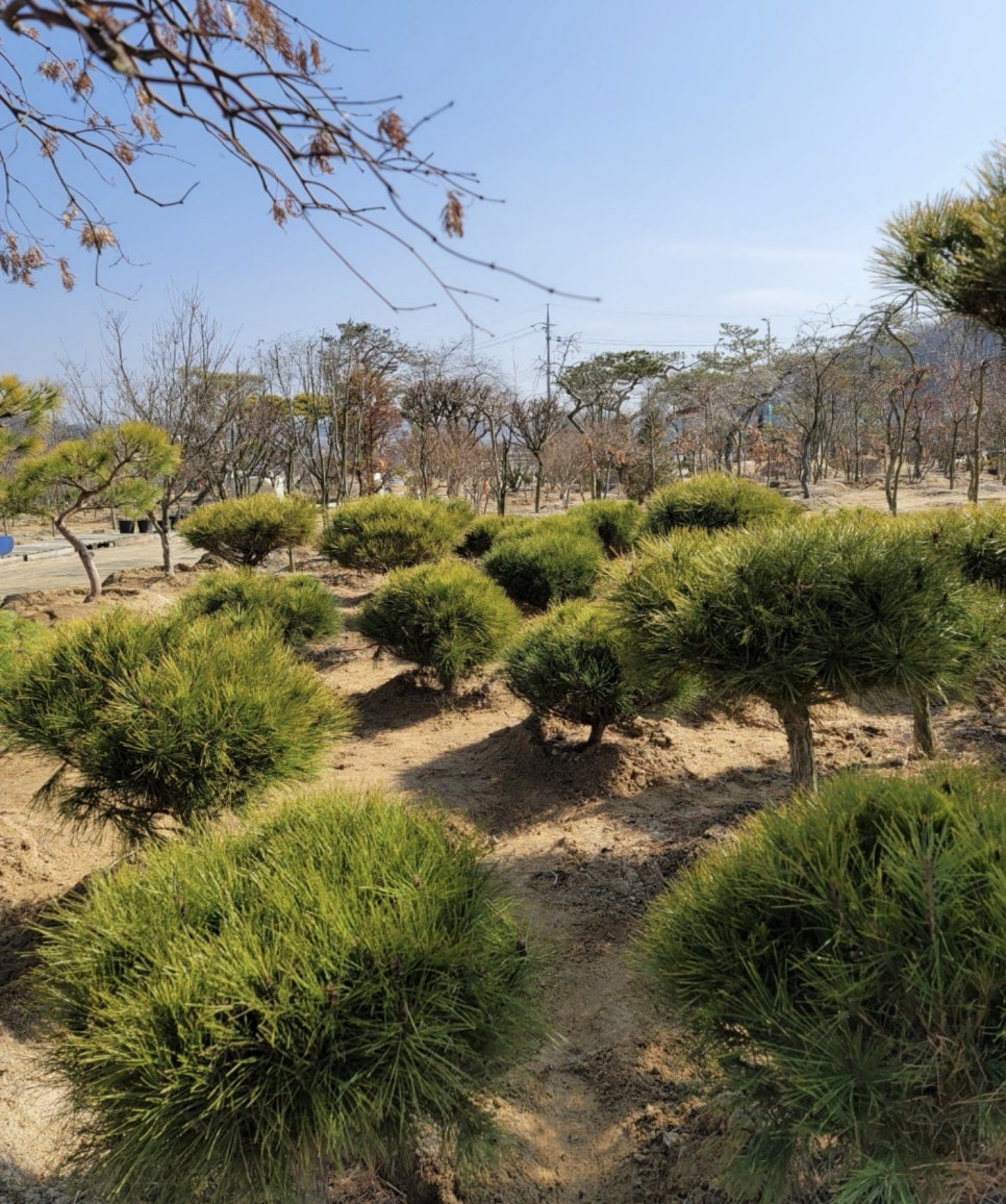 여주이천양평조경 이미지