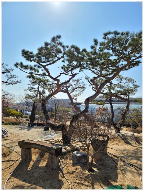여주이천양평조경 이미지