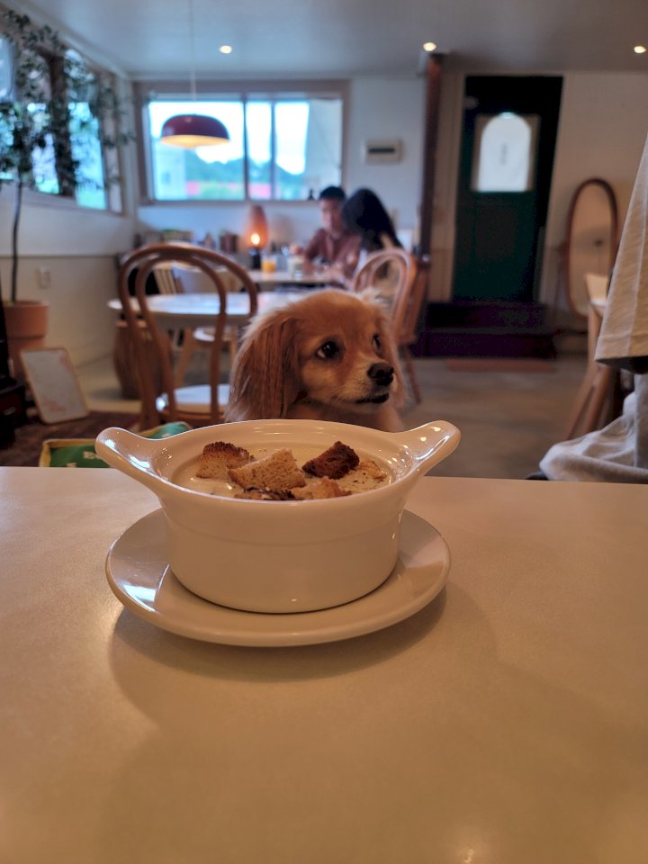 서광식당 이미지