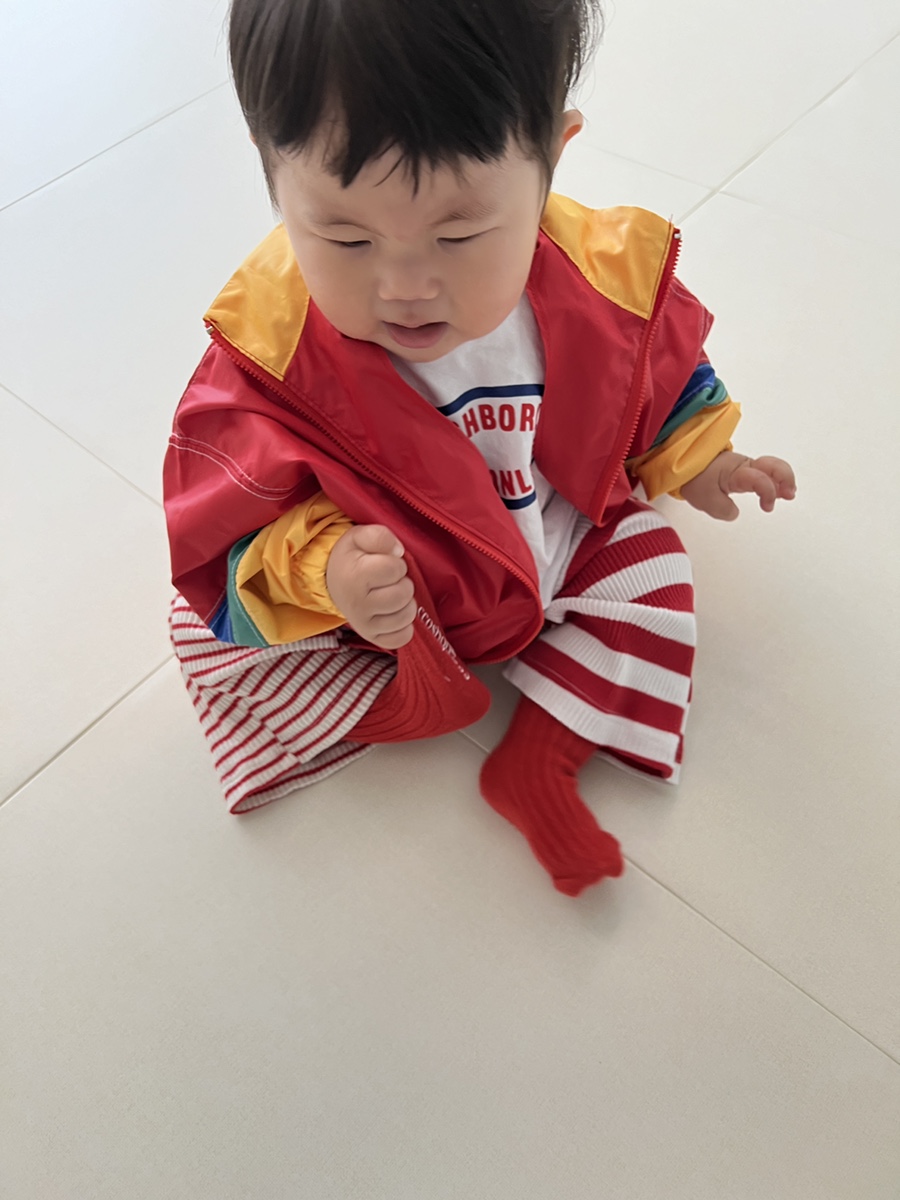 미뇽르페 이미지
