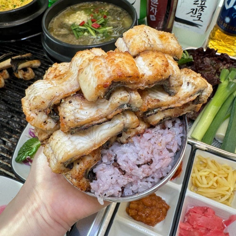 힘센민물장어 이미지