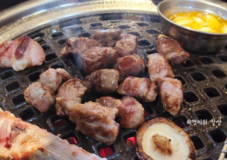 돼지청 이미지