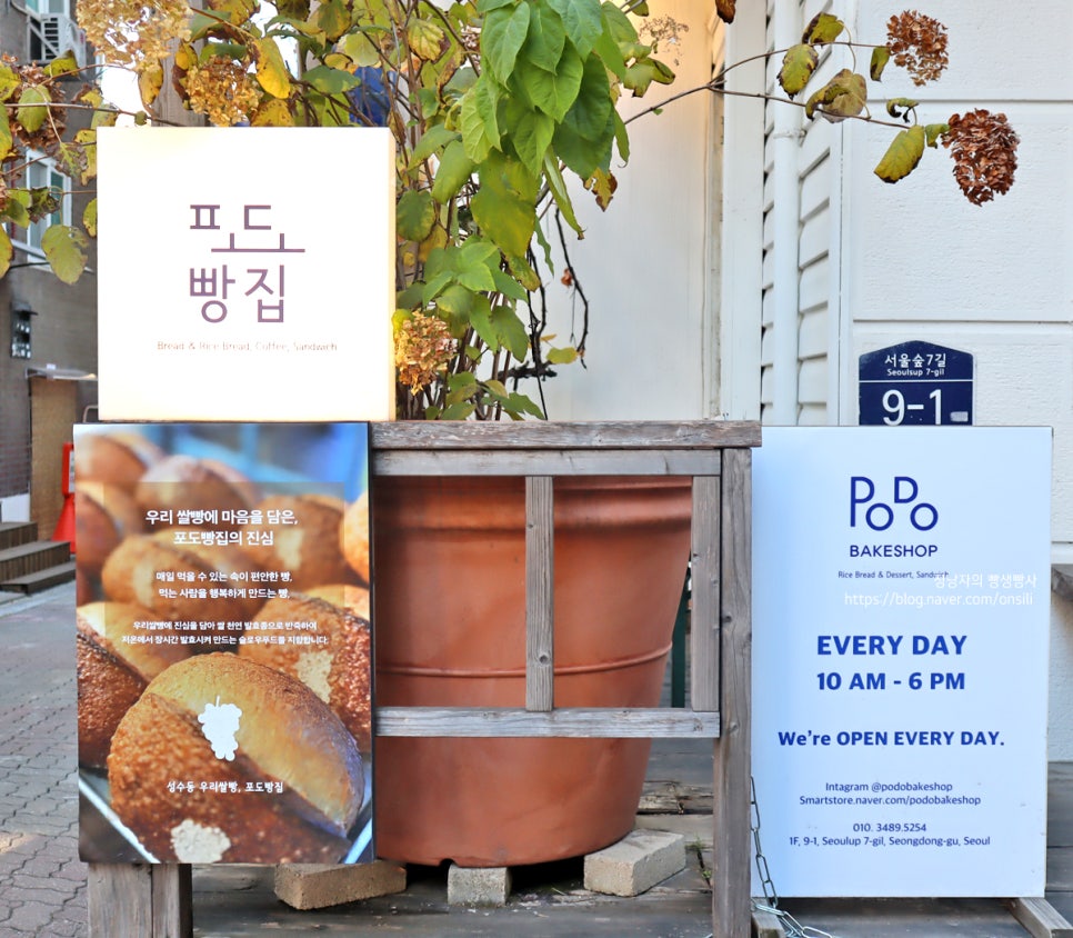 포도빵집 이미지