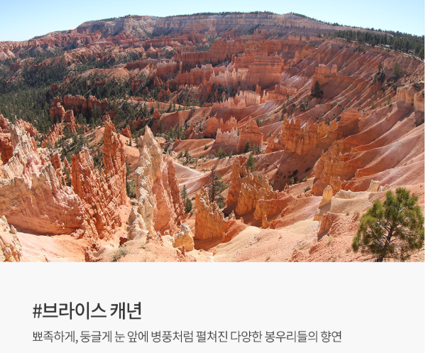 세종여행사 이미지