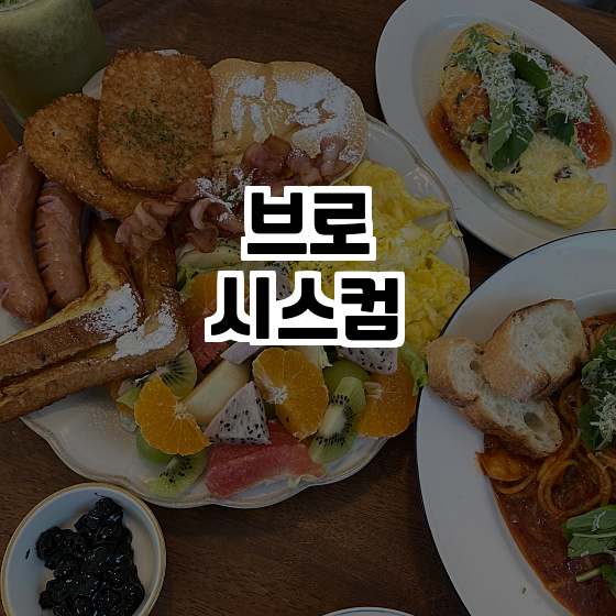 브로시스컴 이미지