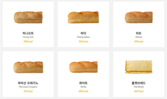 하티바디 이미지