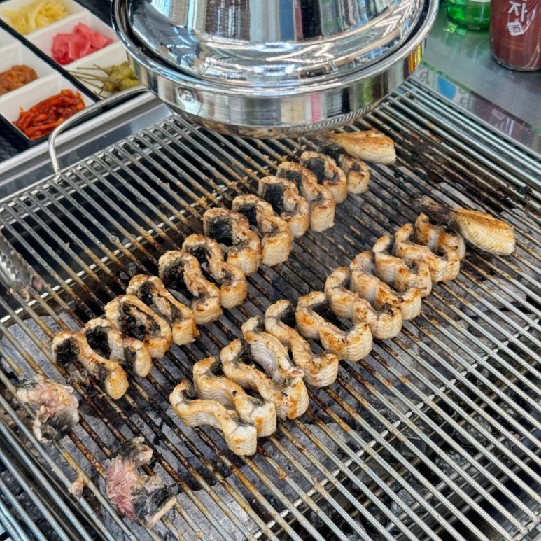 힘센민물장어 이미지
