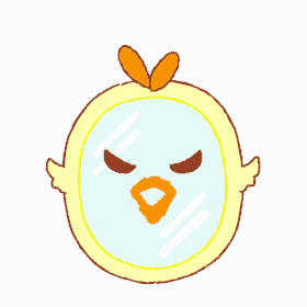 더에스짐 이미지