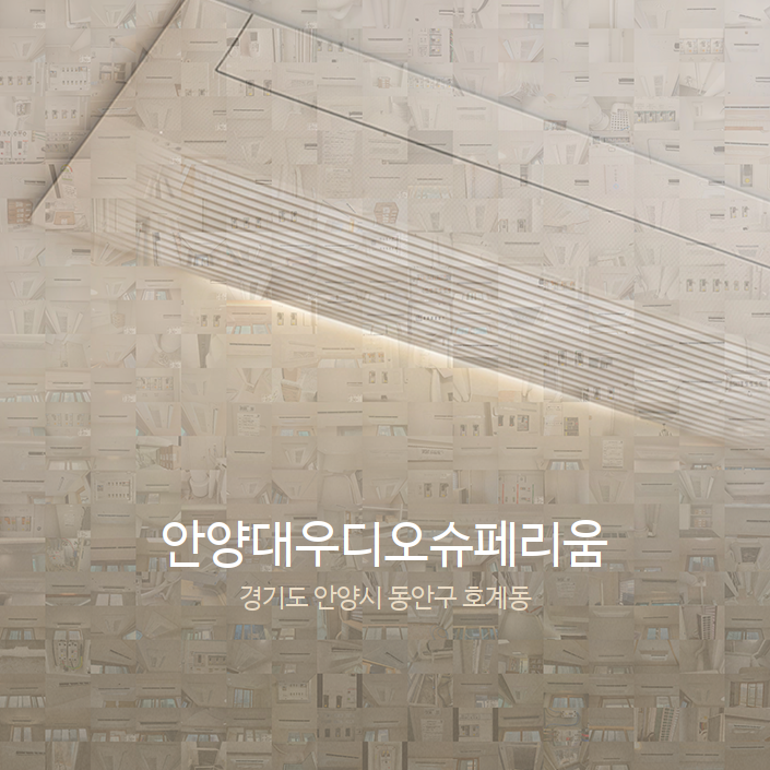(주)디오시스템 이미지