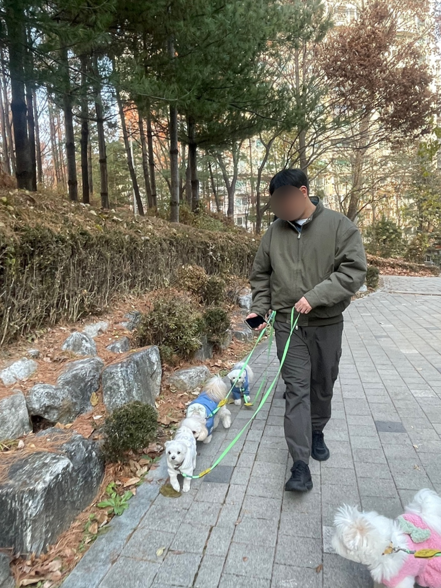 강남 강아지 유치원, 매달 바뀌는 프로그램과 시설 — 사진 14