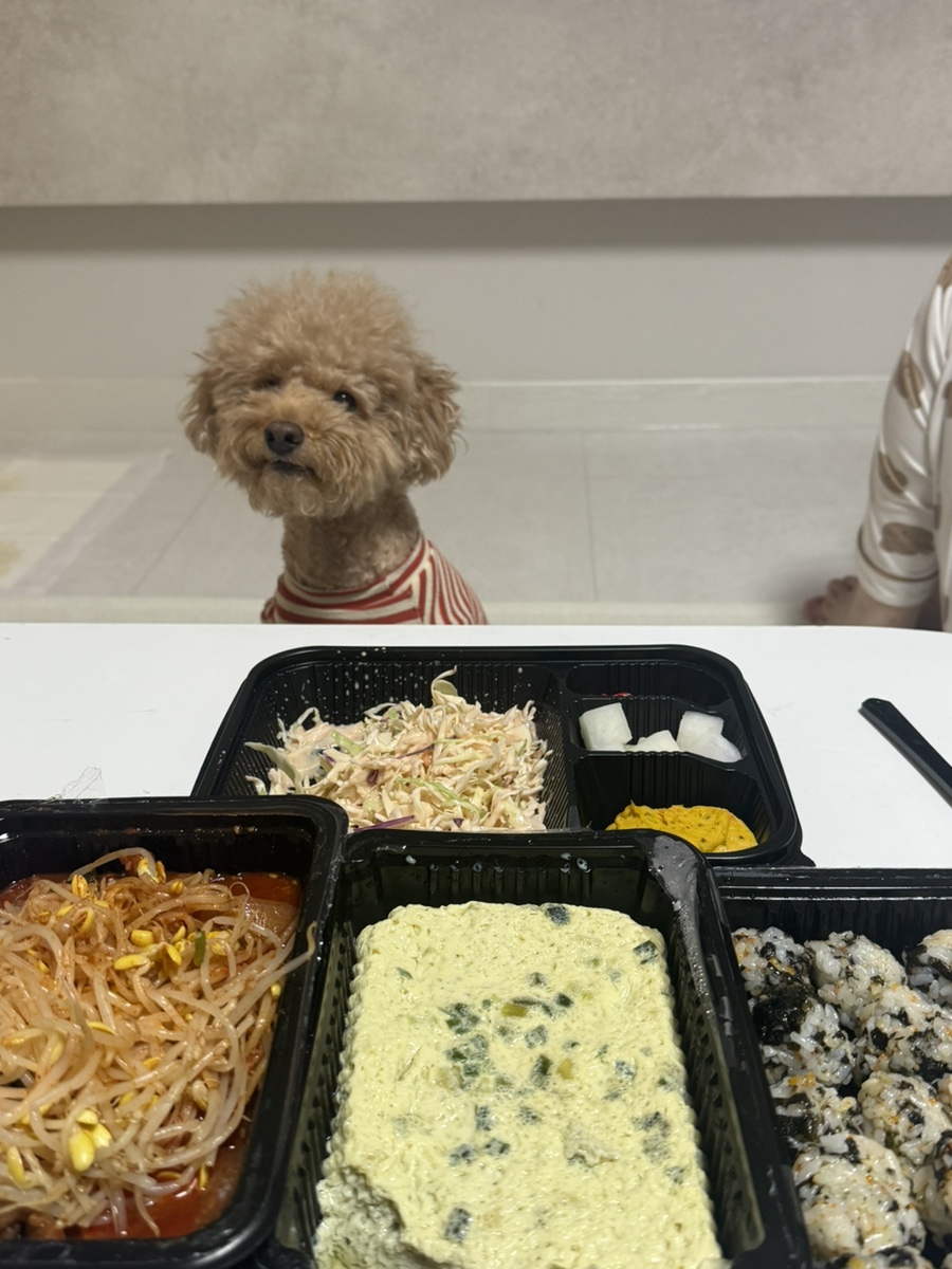 이시키닭발 이미지