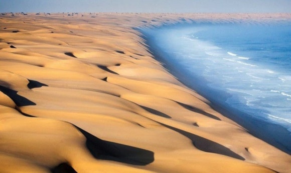 나미브(NAMIB) 이미지