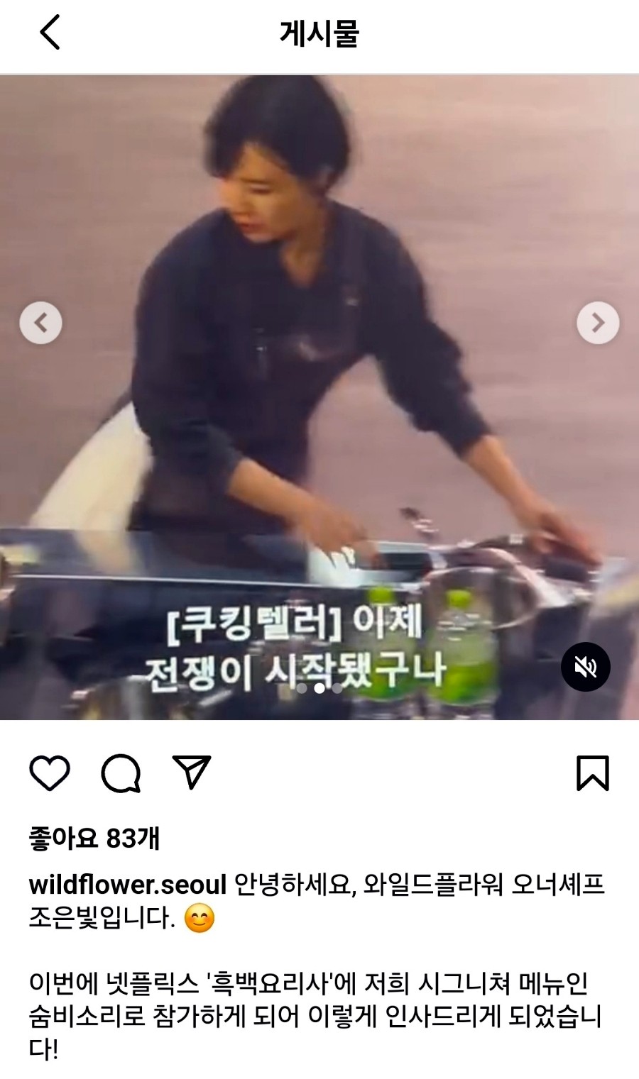 와일드플라워 이미지