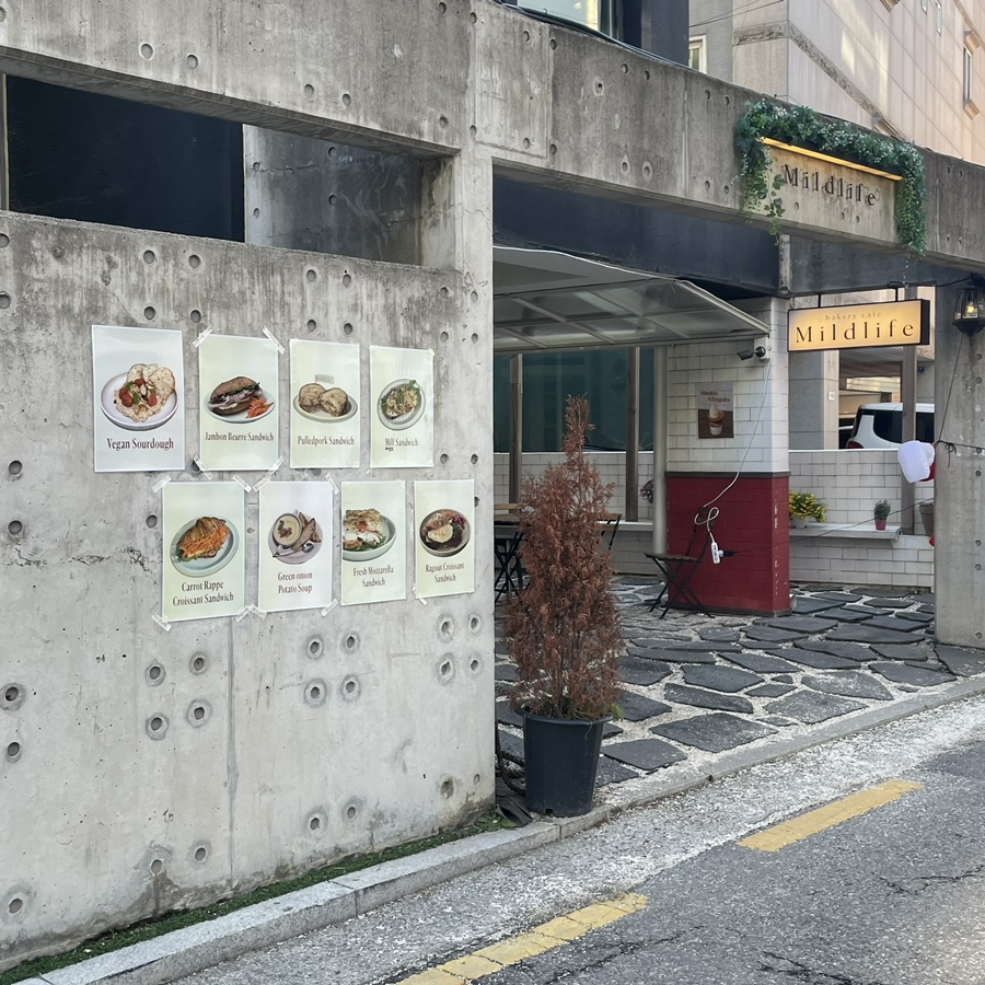 마일드라이프 이미지