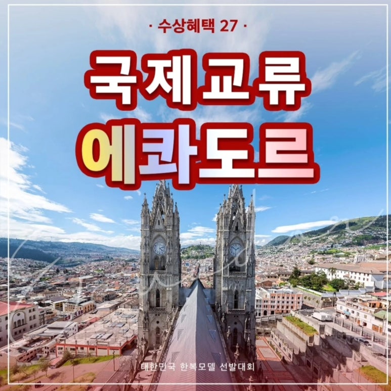 대한국제교류 이미지