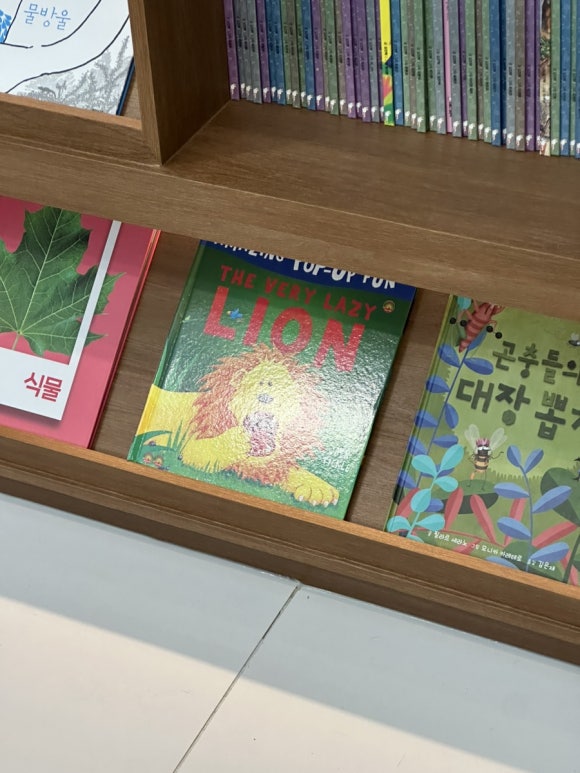 수성코끼리소아청소년과 이미지
