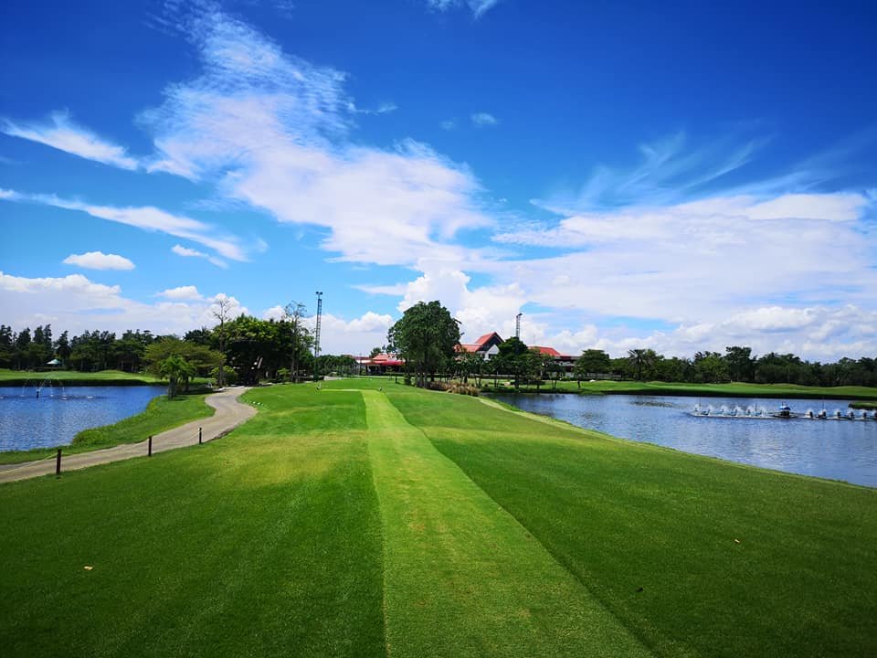 그린미트 이미지