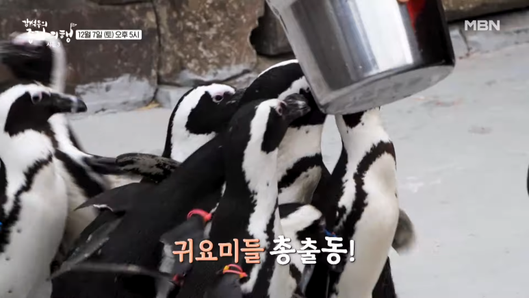 종점포차 이미지