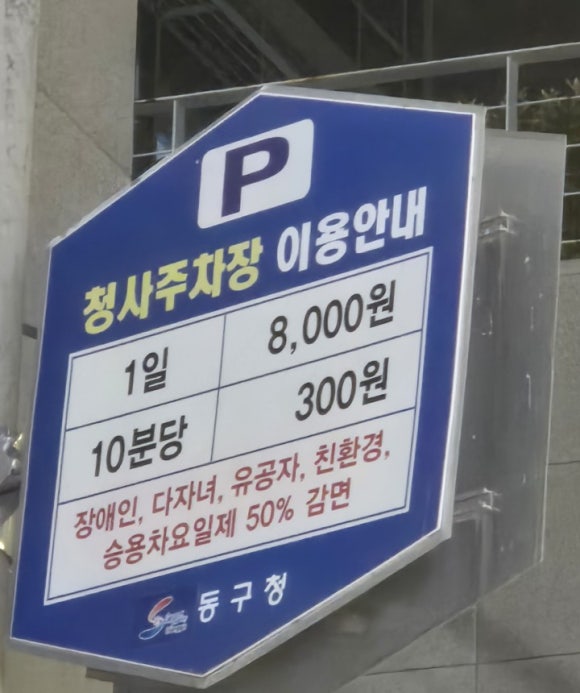 리안블라썸 이미지
