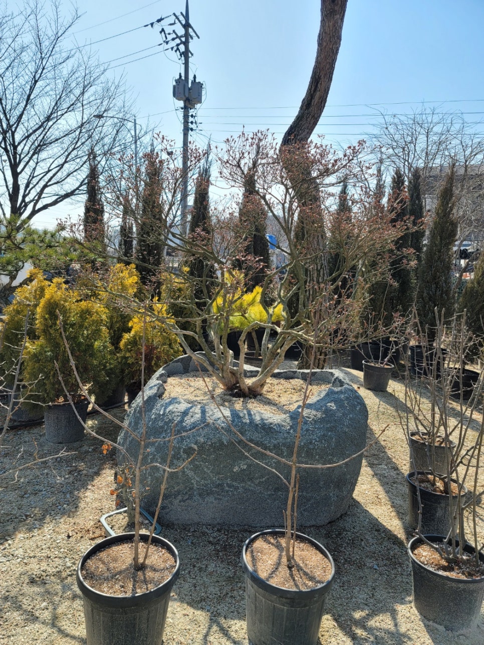 세종조경농원 이미지