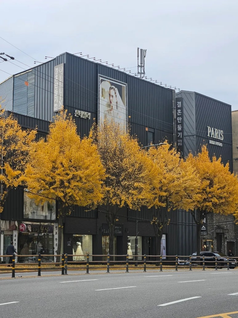 파리스라벨르엘린 이미지