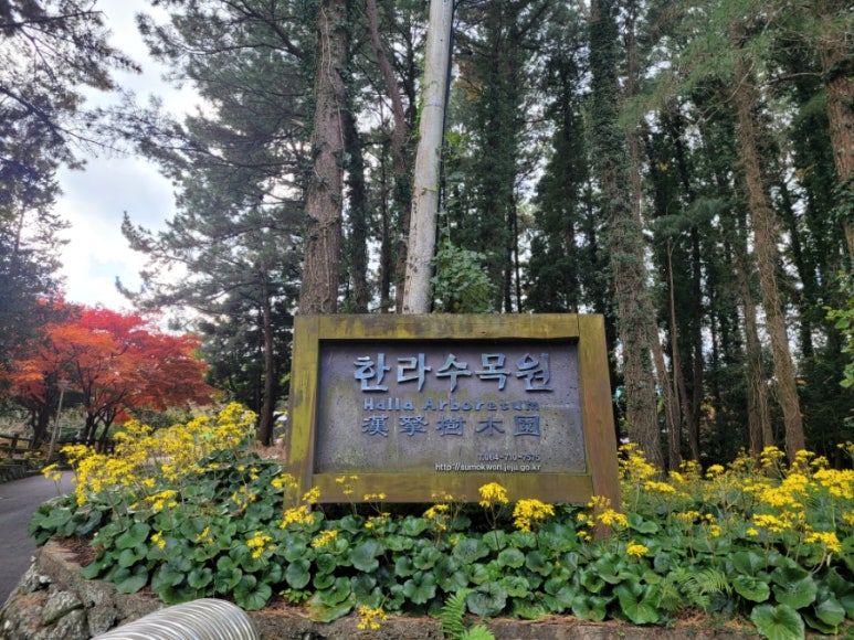 한라수목원 이미지
