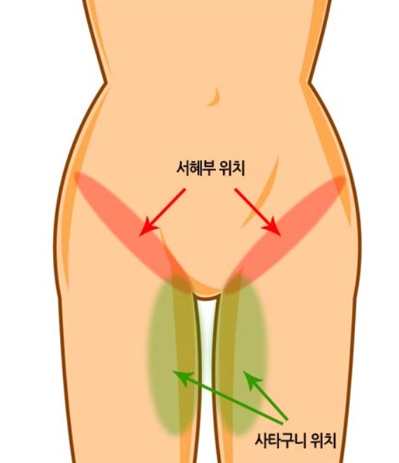 뷰티정 이미지