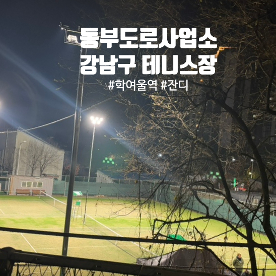 코지니 이미지