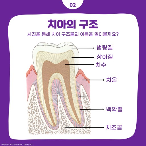 조이치과 이미지