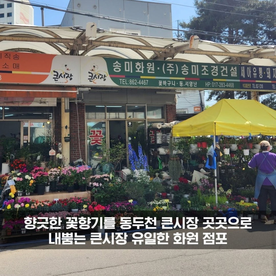 송미화원 이미지