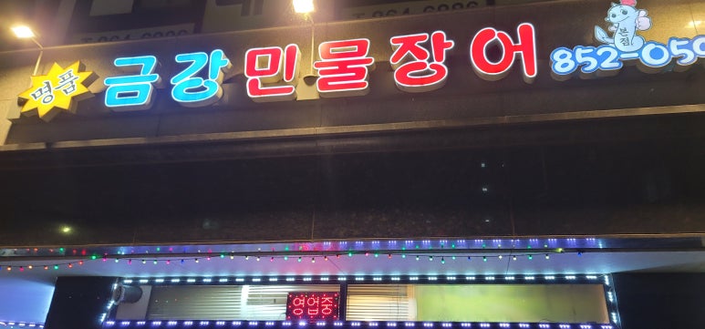 금강민물장어 사진 7