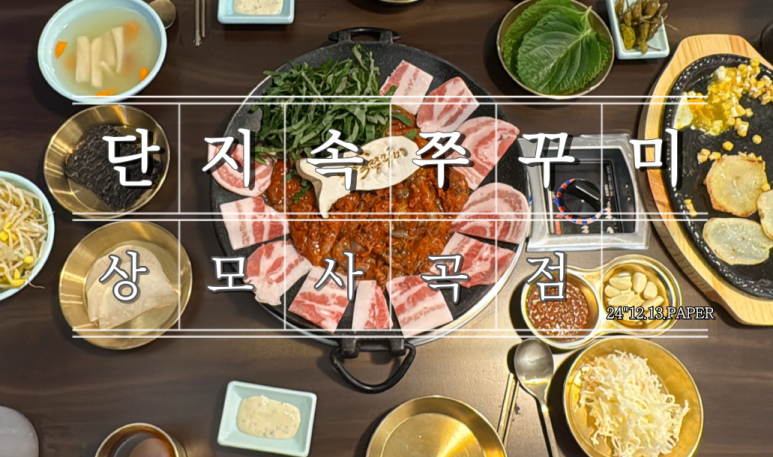 단지속쭈꾸미 이미지