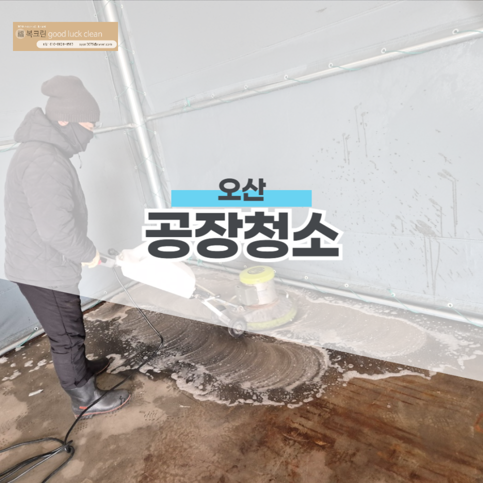 복크린 이미지