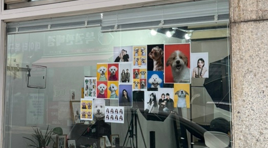 오호라사진관 이미지