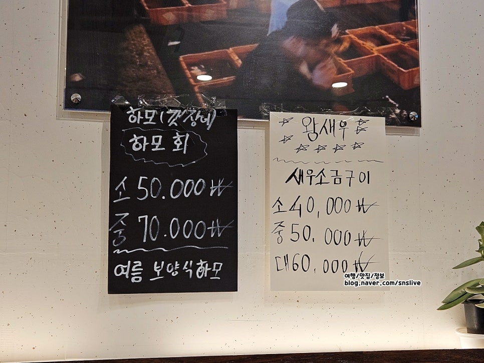 순돌이활어직판장 이미지