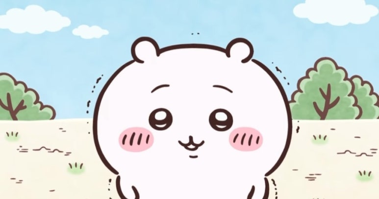 빨래천국 이미지