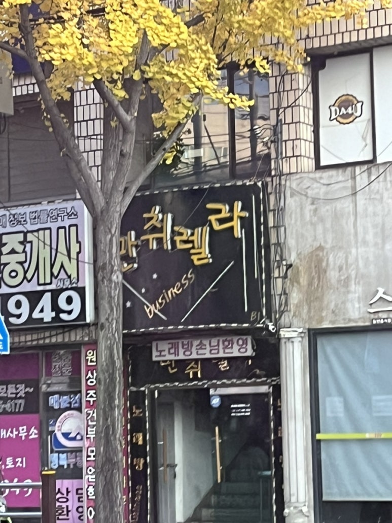 만취렐라 이미지
