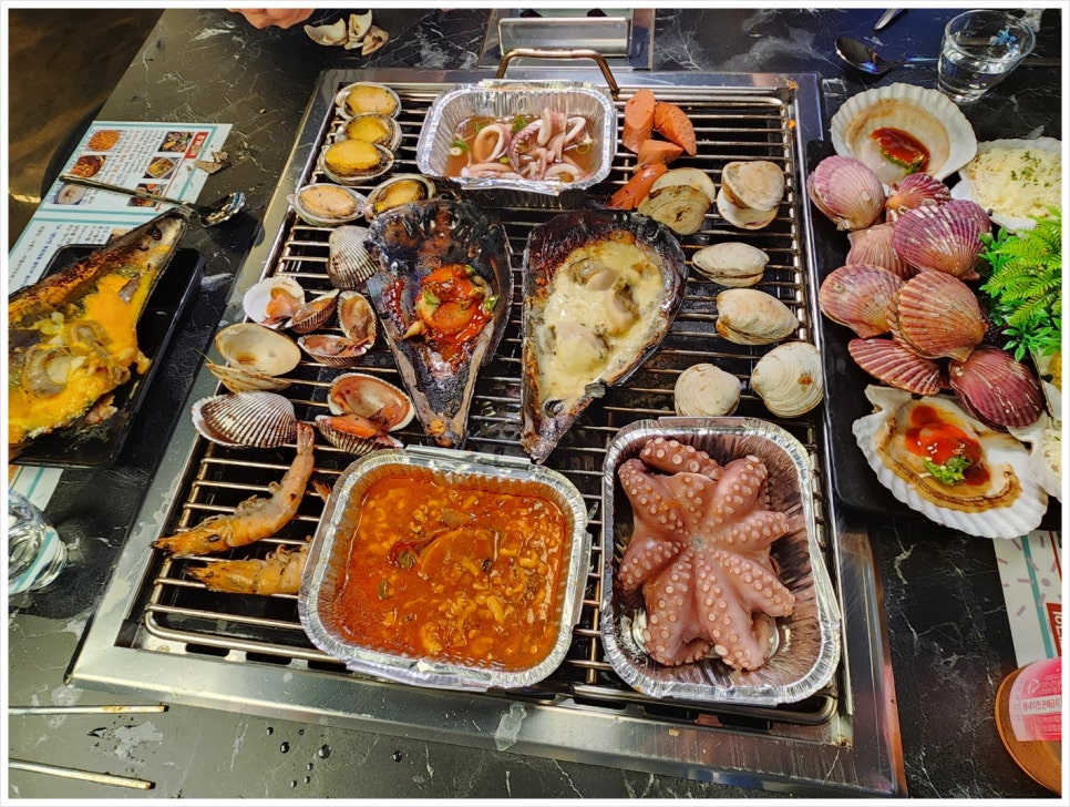 오아시스조개 이미지