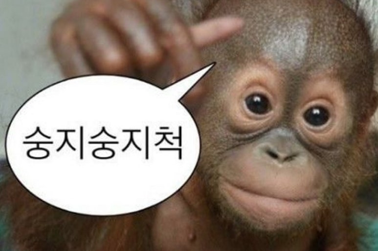 에이제이살롱 이미지