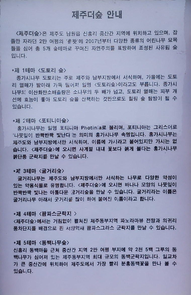 예쁜숲 이미지